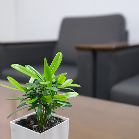 相談支援ニコリ (障がい者・障がい児支援)